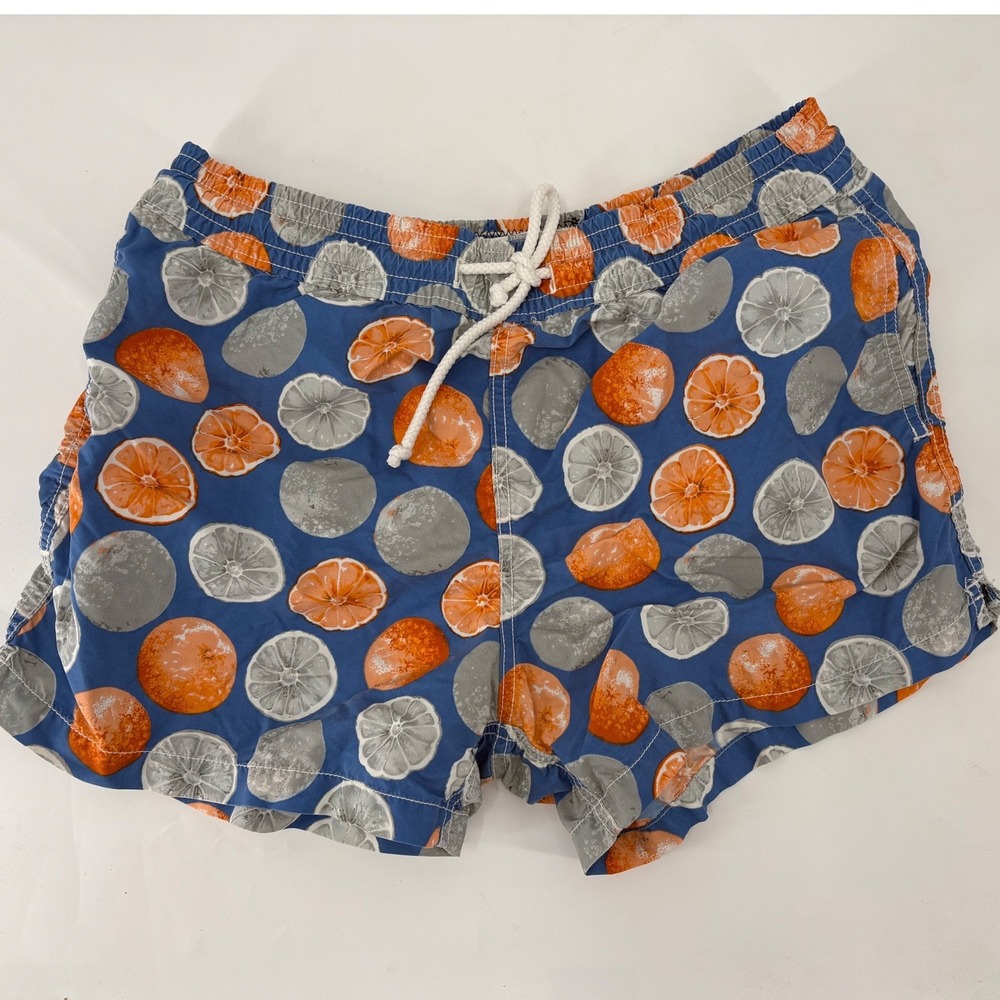 Vilebrequin Moorea Mens Swim Trunks Orange Citrus Fruit Print Blue Size L